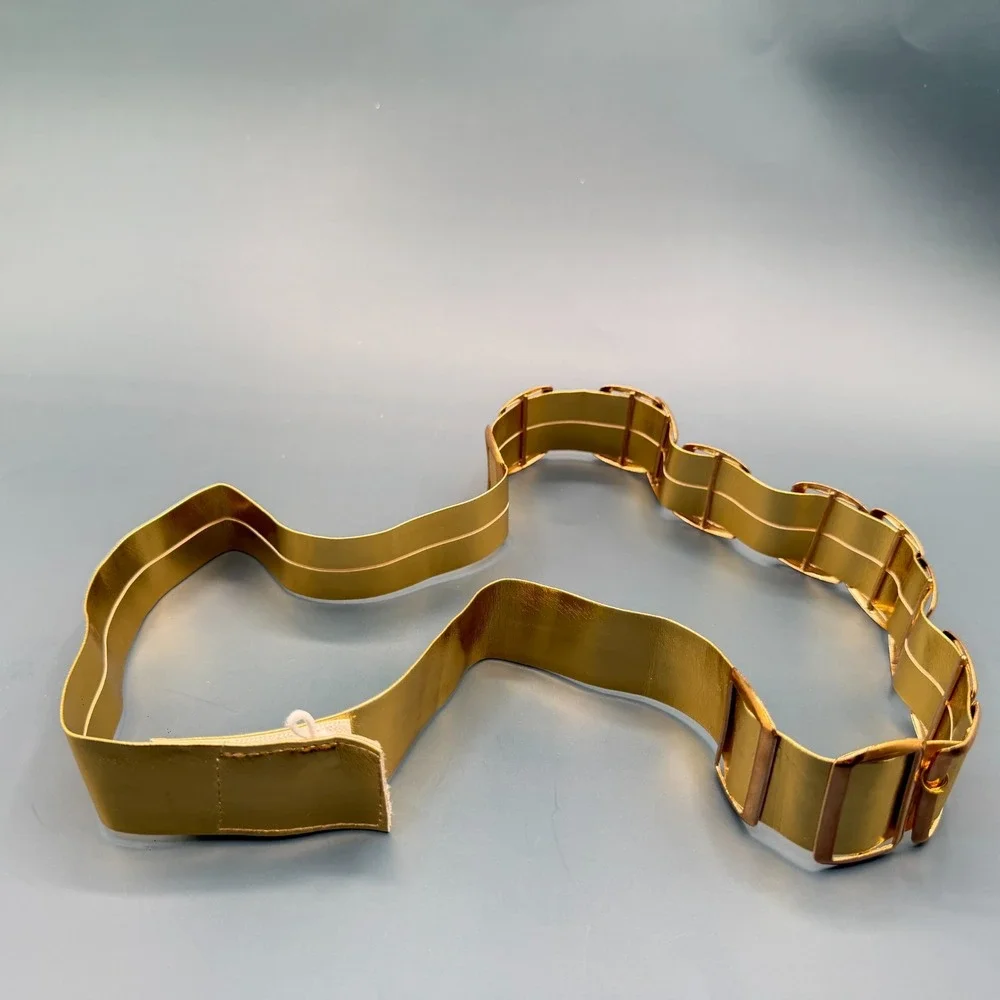 Gold Tone Wide Waist Belt Rectangular Accents Statement Vintage Retro Costume